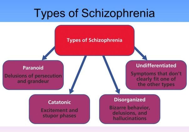type i schizophrenia