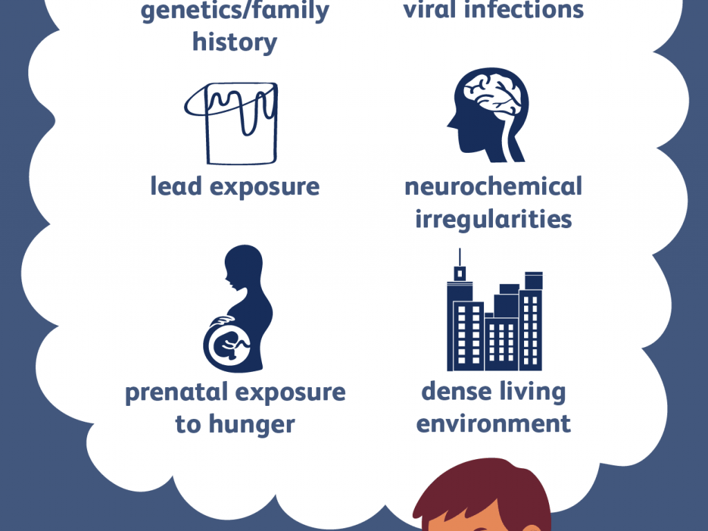 what are causes of schizophrenia
